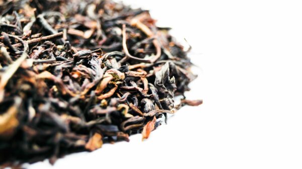 Herbata czarna Sikkim Temi Organic FTGFOP - obrazek 2