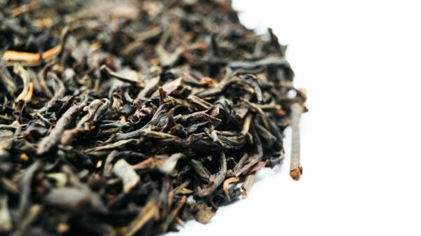 Herbata czarna Yunnan Golden Organic - obrazek 2