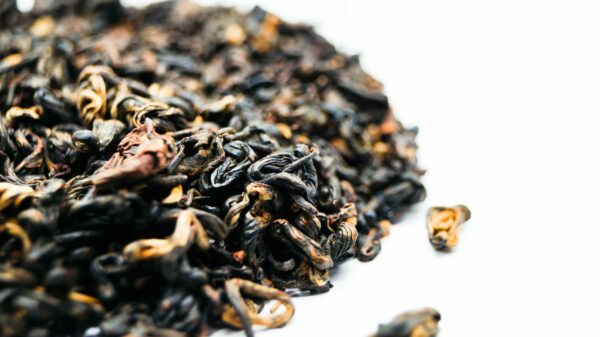 Herbata czarna Yunnan Golden Tips - obrazek 3