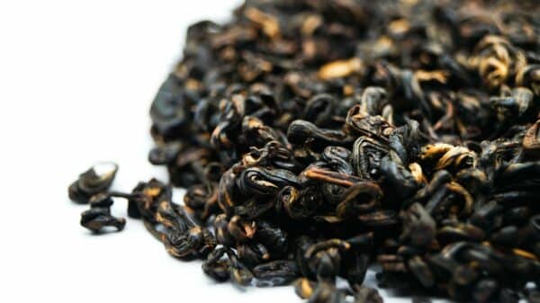 Herbata czarna Yunnan Golden Tips - obrazek 2